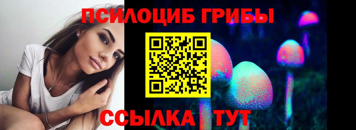 Псилоцибиновые грибы GOLDEN TEACHER Пермь
